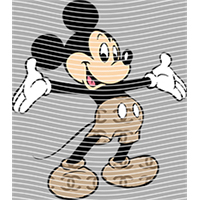 Brand Catalog-ZX 959